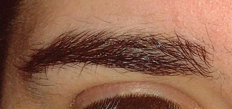 Overgrown Eyebrows, Eyebrow Reference, Brow Guide, Unruly Eyebrows, Curly Eyebrows, Eyebrows Natural, Eyebrow Guide, Bushy Brows, Physical Traits