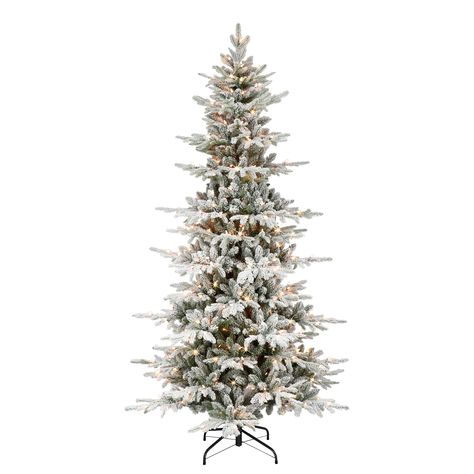 "Find the 7.5ft. Pre-Lit Flocked Slim Utah Fir Artificial Christmas Tree, Clear Lights at Michaels. com. This flocked Utah fir Christmas tree adds a touch of snowy ambiance even if a white Christmas is not in the forecast. Its snow-dusted pine needle branch tips create a realistic feel, bringing the magic of wintry forests straight into your home. This flocked Utah fir Christmas tree adds a touch of snowy ambiance even if a white Christmas is not in the forecast. Its snow-dusted pine needle bran Christmas Tree Clear Lights, Slim Tree, Fir Christmas Tree, Faux Snow, Real Christmas Tree, Flocked Christmas Trees, A White Christmas, Holiday Centerpieces, Fir Tree