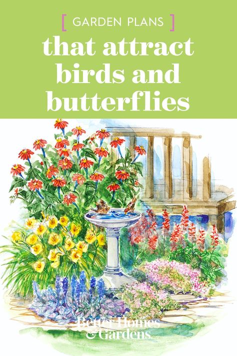 Pollinators Garden Design, Small Butterfly Garden Design, Bird Bee Butterfly Garden, Small Bird Garden Ideas, Plants Butterflies Like, Flowers For Butterfly Garden, Backyard Butterfly Garden Design, Raised Pollinator Garden, Butterfly Garden Landscaping