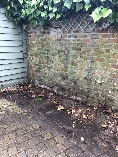 Before & After: Staycation Garden Courtyard Transformation — MELANIE LISSACK INTERIORS Fresco, Walled Courtyard Garden, Brick Wall Gardens, Courtyard Plants, Home Garden Ideas, Townhouse Garden, Courtyard Landscaping, Narrow Garden, Garden Nook