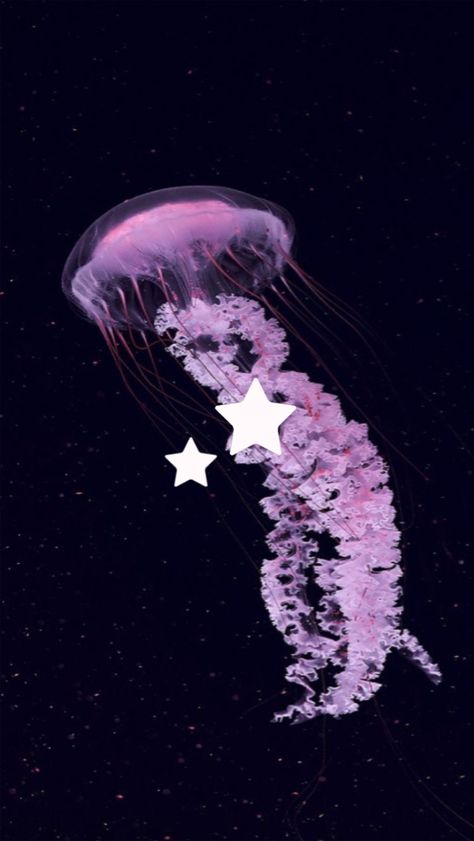 #jellyfish #stars Purple Jellyfish Wallpaper, Jellyfish Lockscreen, Pink Jellyfish Wallpaper, Jellyfish Pfp, Jellyfish Theme, Jellyfish Pictures, Purple Jellyfish, Jellyfish Wallpaper, Pink Jellyfish