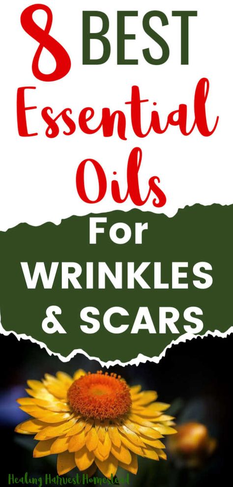 Essential Oils For Wrinkles, Oils For Wrinkles, Skin Care Procedures, Homemade Skincare, Lotion For Oily Skin, Tips For Oily Skin, Anti Aging Oils, Essential Oils For Skin, Anti Aging Food