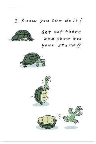 Humour, Good Luck For Interview, Exam Good Luck Quotes, Good Luck Tomorrow, Turtle Quotes, Good Luck Wishes, Funny Encouragement, Exam Motivation, Exam Quotes