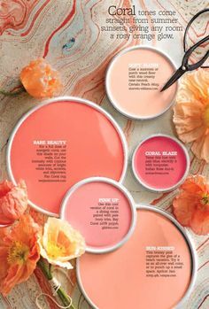 Coral Paint Colors, Coral Paint, Porch Wood, Tuscan Design, Retro Interior, Pink Interior, Bathroom Colors, Paint Colors For Home, Interior Design Blog