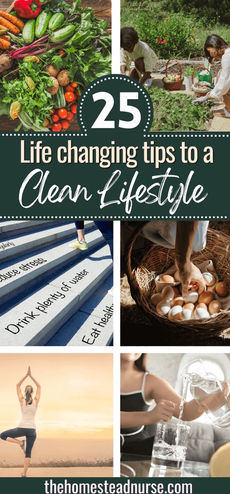 How To Live A Clean Lifestyle, All Natural Living, Holistic Living For Beginners, Crunchy Lifestyle, Futurama Quotes, Holistic Cleaning, Crunchy Living, Tips For A Healthy Lifestyle, Clean Living Lifestyle
