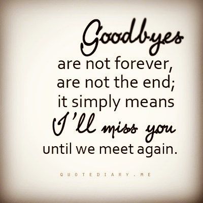 Quotes About Pride, Goodbyes Are Not Forever, Goodbye Quotes, I Miss You Quotes, Ill Miss You, Missing You Quotes, Life Quotes Love, After Life, We Meet Again