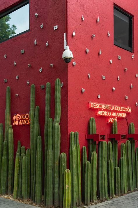 Most Instagrammable Places In Mexico City, Mexico City Landscape, Mexico Desktop Wallpaper, Mexico City Murals, Mexico City Pyramids, Mexico City Instagram Spots, Xochimilco Mexico City, Mexico City Photoshoot, Mexico City Picture Ideas