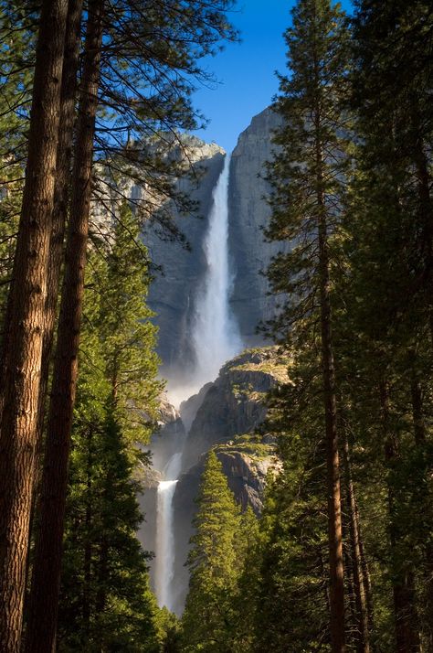 Yosemite National Park, Yosemite Trip, Yosemite Falls, Image Nature, Waterfall Photography, Beautiful Waterfalls, Camping Experience, Yosemite National, Venice Beach