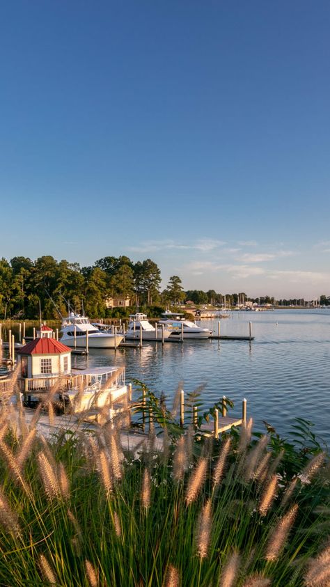 Nature, Virginia Coastal Towns, Chesapeake Bay Maryland, Chesapeake Bay Virginia, Chesapeake Bay Aesthetic, Cheasepeake Bay, Nc Aesthetic, Maryland Summer, Chesapeake Bay Bridge