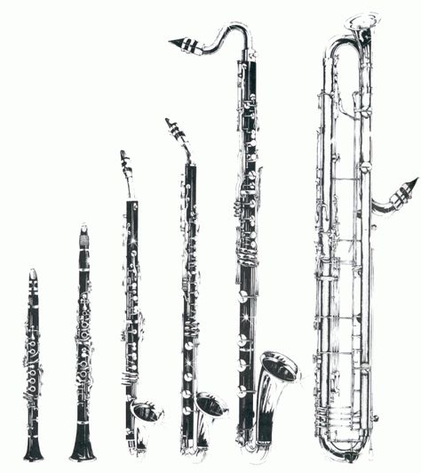 clarinet family Instruments Of The Orchestra, Alto Clarinet, Instrument Families, Clarinet Music, Clarinet Sheet Music, Woodwind Instrument, Band Jokes, Music Jokes, Bass Clarinet