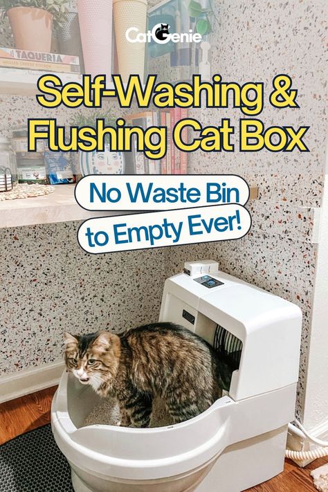 Self washing and flushing cat box. no waste bin to empty ever. Cat Litter Box Automatic, Corner Cat Litter Box Ideas, Best Kitty Litter Boxes, Best Self Cleaning Cat Litter Boxes, Automatic Cat Litter Box Ideas, Best Cat Litter Boxes, Cat Litter Room Ideas, Self Cleaning Litter Box Cats, Litter Box In Laundry Room