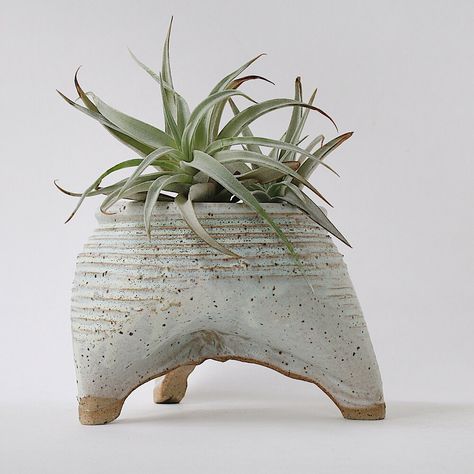 Handmade ceramic planter displayed with an airplant Fimo, Pottery Plant Pots, Handmade Ceramic Planters, Pottery Pots, Bamboo Brush, Handmade Planter, Planter Ideas, Ceramic Techniques, Ceramic Flower Pots
