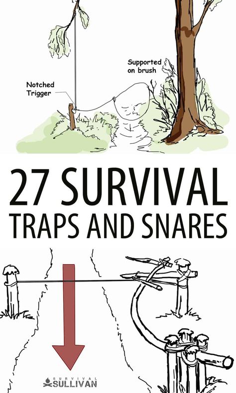 Survival Traps, Supraviețuire Camping, Off Grid Survival, Survival Essentials, Shtf Survival, Survival Knots, Survival Skills Life Hacks, Emergency Preparedness Kit, Survival Supplies