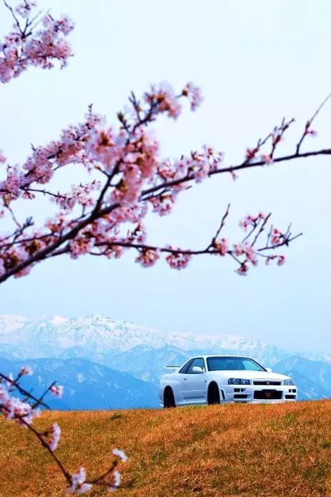 r/JDM Phone Wallpaper Dump - Imgur 240z Datsun, Nissan Skyline Gtr R32, Nissan Gtr Wallpapers, Nissan R34, R34 Skyline, Skyline Gtr R34, R34 Gtr, Fotografi Urban, Japanese Sports Cars