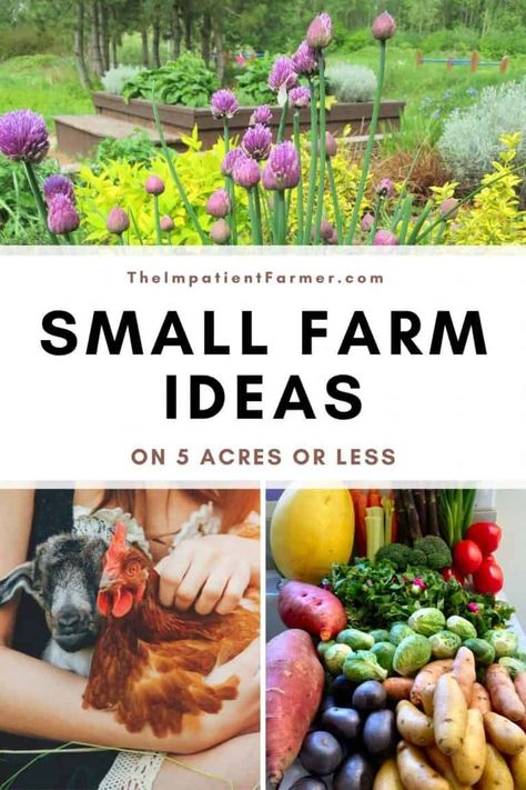 What To Do With Acres Of Land, What To Do With 2 Acres Of Land, Farming On 5 Acres, Permaculture, Farm For Beginners, What To Do With Land, Mini Hobby Farm, Mini Homestead Layout, 5 Acres Landscaping