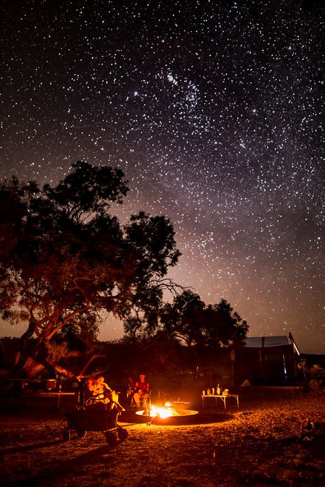 Outback Camping, Night Sky With Stars, Sky With Stars, Camping Aesthetic, Camping Photography, Festival Camping, Photography Beach, The Night Sky, Camping Life