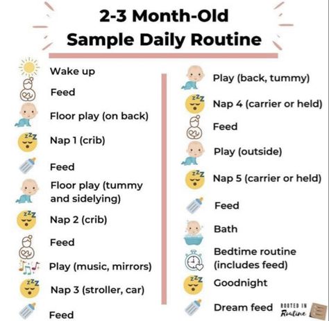 2 Month Baby Milestones, 3 Months Baby Activities, Baby Timeline, New Baby Checklist, Bedtime Routine Baby, 2 Month Baby, 2 Month Old Baby, Baby Routine, Newborn Schedule