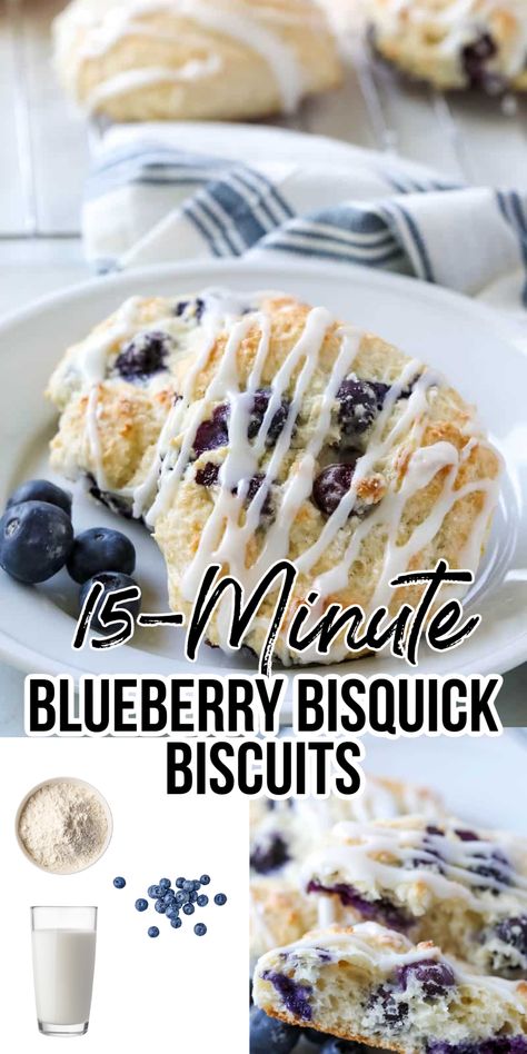 blueberry biscuits on a plate Quick Blueberry Biscuits, Bisquick Blueberry Biscuits, Blueberry Biscuits Recipe Bisquick, Blueberry Bisquick Recipes, Blueberry Biscuits With Glaze, Sweet Blueberry Biscuits, Blueberry Biscuits Recipe, Bisquick Recipes Biscuits, Bisquick Recipes Breakfast