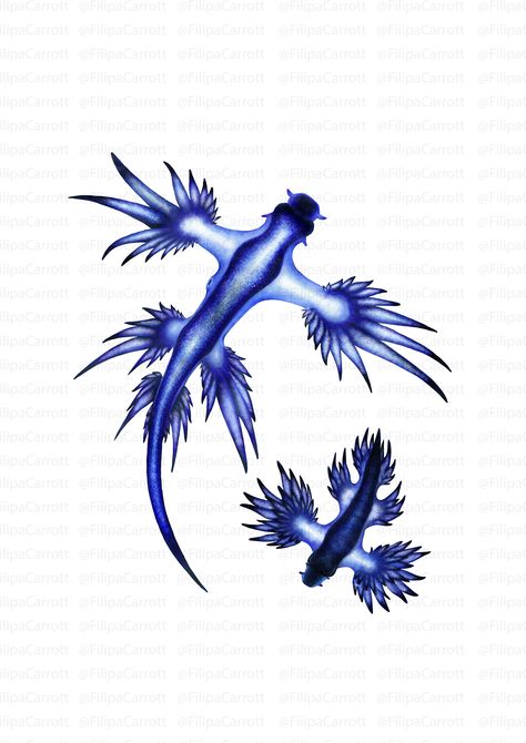 Glaucus atlanticus & Glaucilla marginata. Contest entry for #illustraciencia 5. #glaucus #scientificillustration #illustration Blue Sea Slug, Sea Animals Drawings, Glaucus Atlanticus, Left Arm Tattoos, Fish Quilt, Sea Slug, Sea Dragon, Sea Inspired, Blue Dragon