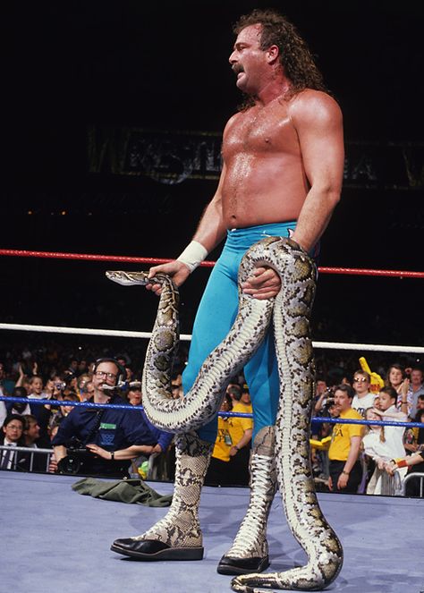 Jake "the Snake" Roberts Humour, Wcw Wrestlers, V Photos, Jake The Snake, Jake The Snake Roberts, Wwf Superstars, World Championship Wrestling, Wrestling Posters, Body Slam