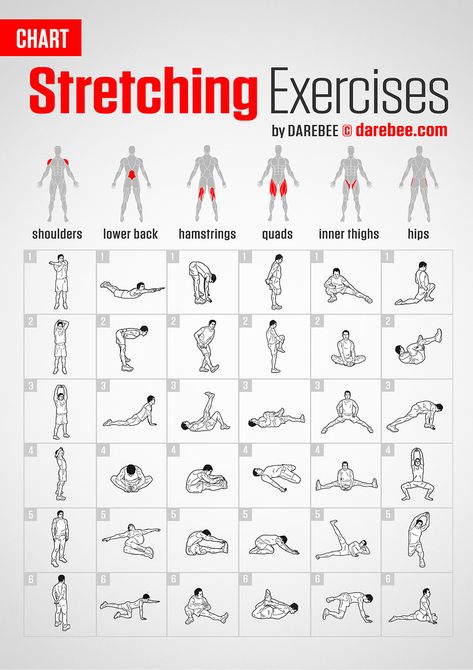 Stretching Exercises | Chart Forward Head Posture Exercises, Self Goal, Motivație Fitness, Beginner Workouts, Gym Antrenmanları, Latihan Kardio, Healthy Book, Latihan Yoga, Gym Workout Chart