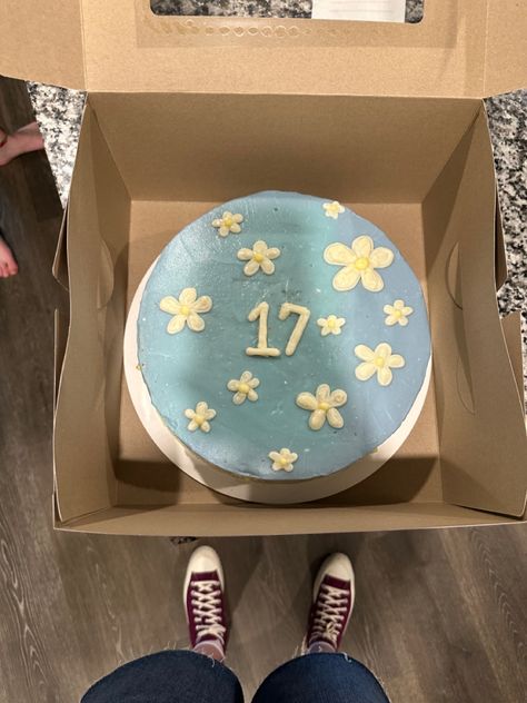 27 Years Old Birthday Cake, Birthday Cakes For 13 Year Girl, Cake For 17th Birthday Girl, Cakes For 17th Birthday Girl, 17 Year Birthday Cake, Birthday Cake 17th Birthday Girl, 17th Birthday Ideas Cake, 17 Cake Birthdays, 17th Birthday Cake Aesthetic