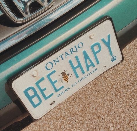 #licenseplate #happy #happiness #vibes #goodvibes #vsco #instagram #photos #pictures Good Vibes Quotes Positivity, Foto Muro Collage, Vsco Pictures, Bedroom Wall Collage, Picture Collage Wall, Happy Vibes, Photo Wall Collage, Art Collage Wall, Picture Collage