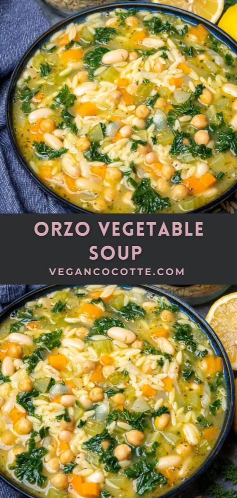 Soup With Veggie Broth, Orzo White Bean Soup, Orzo Veggie Soup, Orzo Bean Soup, Lentil Orzo Soup, One Pot Vegetable Soup, Fall Vegetarian Soup Recipes, Orzo Soup Recipes Vegetarian, Non Tomato Based Soup