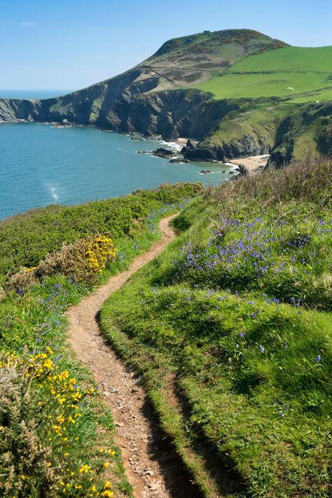 The 10 best things to do in Aberystwyth | CN Traveller Bonito, Nature, Kos, Starling, England Countryside, Wales Travel, England Travel, Uk Travel, Pretty Places