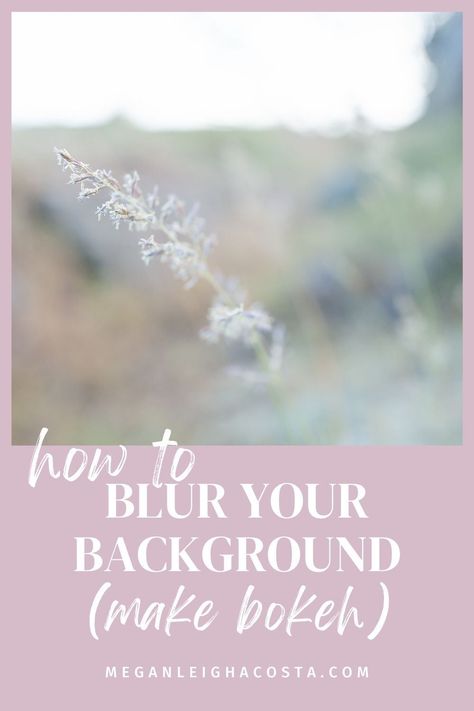 In this post, you’ll learn what bokeh is and how to get those blurry backgrounds we love! These tips are perfect for photography beginners who are ready to learn how to use their aperture setting and create blurry backgrounds. Check out the blog post for the tips at www.meganleighacosta.com Photography Beginners, Aperture Settings, Shallow Depth Of Field, Photography Tips For Beginners, Photography Education, Photography Courses, Portrait Photography Poses, Photography Gear, Photography For Beginners