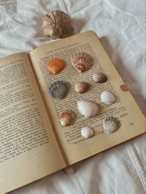 #summer #verano #seashells #aesthetic #aesthetic #books #reading #classic #read Italian Book Aesthetic, Sea Aesthetic Pictures, Books Beach Aesthetic, Book Aesthetic Summer, Bookish Summer Aesthetic, Summer Aesthetic Books, June Summer Aesthetic, One Italian Summer Book Aesthetic, Summer Aesthetic Reading