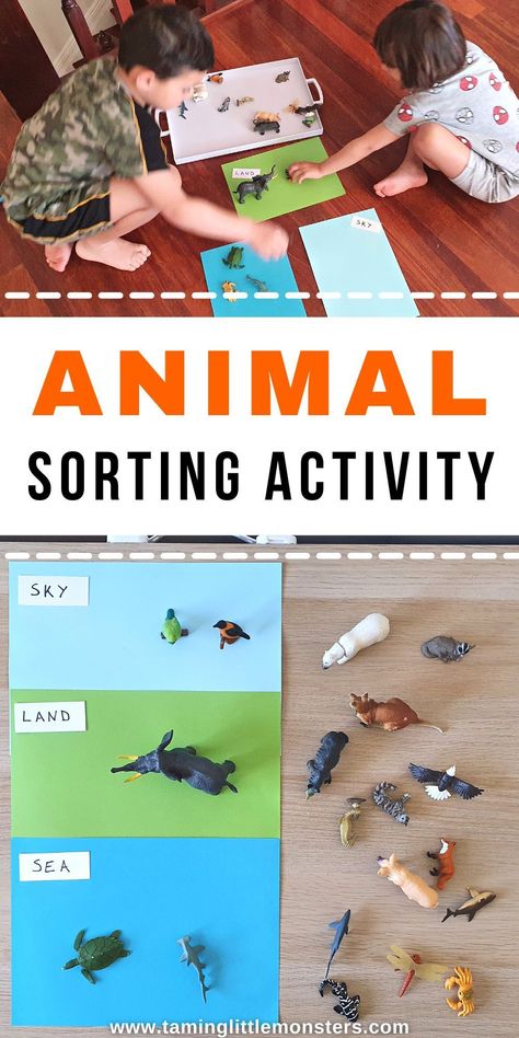 Animals Sorting Activities, Animal Themed Kindergarten Classroom, Activities On Colours For Preschoolers, Animal Theme Kindergarten Activities, Animal Theme For Preschool, Animals Math Activities Preschool, Animal Theme Activities For Preschool, Animals Activity Preschool, Zoo Animal Activities For Toddlers
