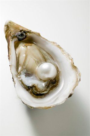 Shell Outline, Oyster With Pearl, Shell Drawing, Shell Artwork, Organic Structure, Fresh Oysters, Single Recipes, Summer Wines, Oyster Pearl