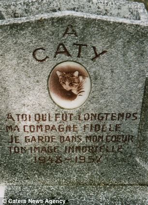 Pets in peace: World's oldest pet cemetery where a lion and a racehorse are among 40,000 bodies in Paris suburb Cat Headstone, Pet Cemetary, Pet Headstones, Cemetery Monuments, Pet Cemetery, Cemetery Headstones, Famous Graves, St Bernard Dogs, Kitten Photos