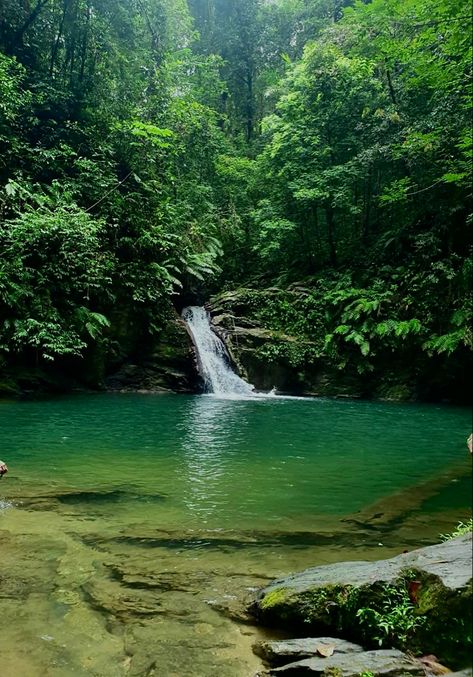 Island Life With Friends, Green Island Aesthetic, Green Vacation Aesthetic, Pool In The Desert, Island Astethic, Stranded On Island Aesthetic, Island Nature Aesthetic, Island Forest Aesthetic, Tropical Nature Aesthetic