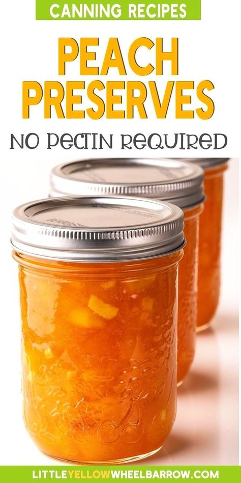 Peach Preserves Recipe, Canning For Beginners, Peach Jam Recipe, Easy Canning, Peach Jelly, Canning Peaches, Home Canning Recipes, Peach Preserves, Canning Recipe