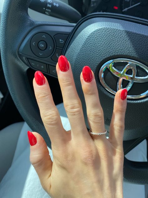 Dip powder natural almond red nails OPI Red Nails Acrylic Round, Red Nail Oval Shape, Round Red Nails Acrylic, Red Rounded Acrylic Nails, Christmas Red Nails Short, All Red Almond Nails, Red Nails February, Red Round Short Nails, Short Red Pointy Nails