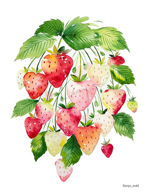 Strawberry Painting, Strawberry Watercolor, Maluchy Montessori, Strawberry Art, Watercolor Food, Watercolor Fruit, Fruit Illustration, Fruit Painting, 수채화 그림