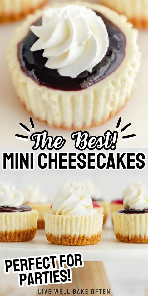 Mini Cheesecake Graham Cracker Crust, Super Easy Cheesecake Recipes, Baked Cheesecake Cupcakes, Cupcake Size Cheesecake Recipes, Best Cheesecake Cupcake Recipe, The Best Mini Cheesecakes, Good Cheesecake Recipes, Recipe For Mini Cheesecakes, Mini Cheesecakes Baked