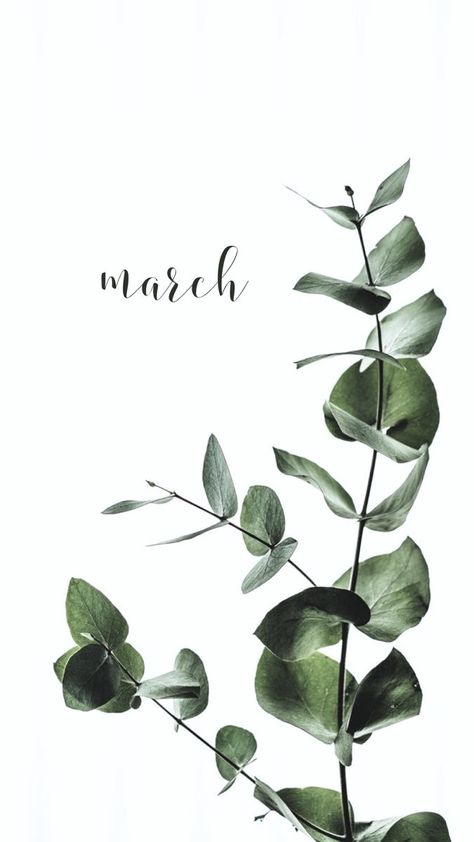 March Lockscreen Phone Wallpapers, Spring Wallpaper Iphone Green, March Iphone Background, March Background Aesthetic, March Iphone Wallpaper Aesthetic, March Vibes Wallpaper, March Themed Wallpaper, Hello March Aesthetic, March Phone Background