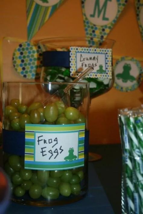 13+ Frog Themed Baby Shower Ideas 2023 Frog Party Food Ideas, Frog Prince Birthday Party, Princess And The Frog Snack Ideas, Pond Party Ideas, Pond Themed Birthday Party, Princess Tiana Birthday Party Food, Frog Themed Birthday Party Aesthetic, Frog Themed Birthday Party Decorations, Leap Day Birthday Ideas