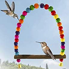 Upcycling, Hummingbird Perch Diy, Bird Nesting Material, Hummingbird Swing, Garden Critters, Hummingbird Perch, Bird Swing, Backyard Birds Sanctuary, Hummingbird Food