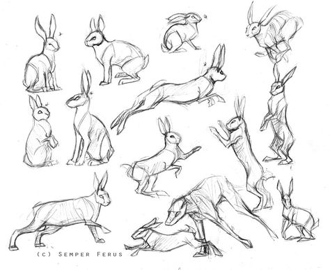 Here we go! Requested by GraypathIcefeather -/-/- If you're looking for tips and general references and not a step-by-step, please see THIS tutorial. -/-/- Notes - this is by no means the defi...                                                                                                                                                                                 More Drawings Of Rabbits, Rabbit Anatomy, Hare Drawing, Rabbit Pose, Tier Tattoo, Some Drawings, Rabbit Drawing, Bunny Drawing, 강아지 그림