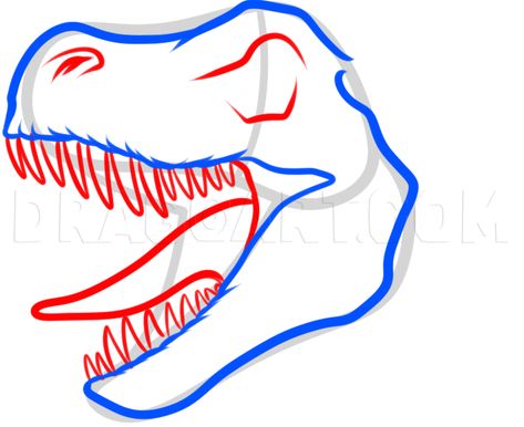 Trex Head Drawing, T Rex Head Drawing, How To Draw A T-rex, Head Step By Step Drawing, Trace Drawing, T-rex Drawing, Head Step By Step, Dinosaur Stencil, Simple Face Drawing