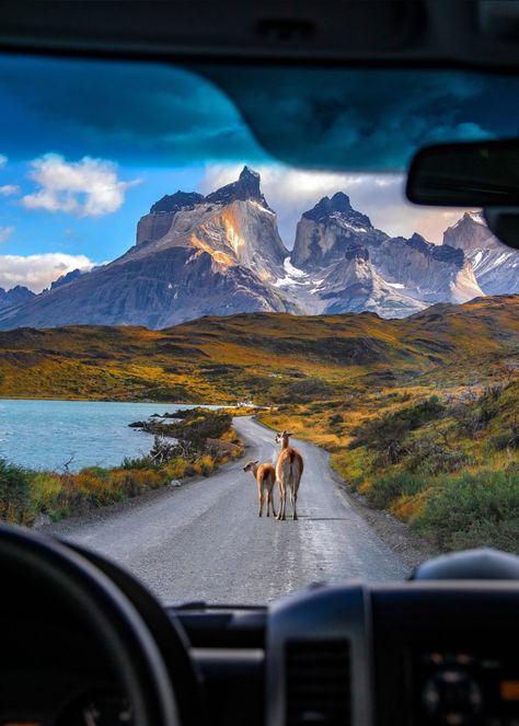 The magic that is Patagonia and the best places to visit in Patagonia! Torres Del Paine National Park, Lake District, Bariloche, Patagonia South America, Patagonia Mountains, Visit Argentina, Travel Creative, Patagonia Argentina, Argentina Travel
