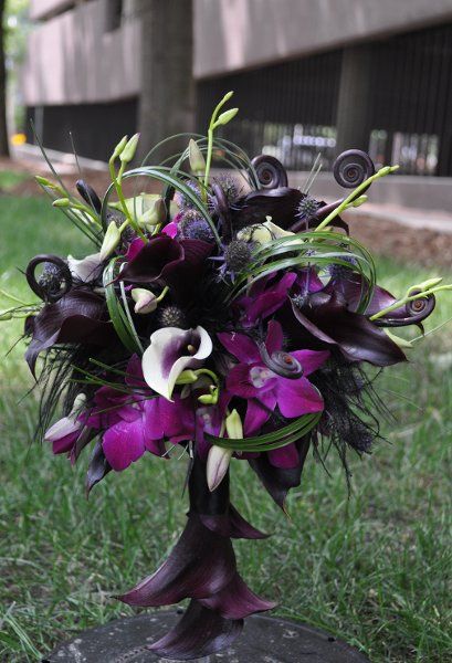 WILD! This wild bouquet highlights a calla lily handle accent, black feathers, fern shoots and dendrobium orchids. Black Bouquet, Halloween Themed Wedding, Dendrobium Orchids, Unique Wedding Flowers, Goth Wedding, Dark Wedding, Purple Wedding Flowers, Theme Halloween, Gothic Wedding