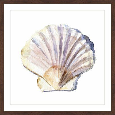 Shell Drawing, Art Plage, Art Coquillage, Kunst Inspiration, Seashell Art, Marmont Hill, Sea Art, Shell Art, Watercolor Inspiration