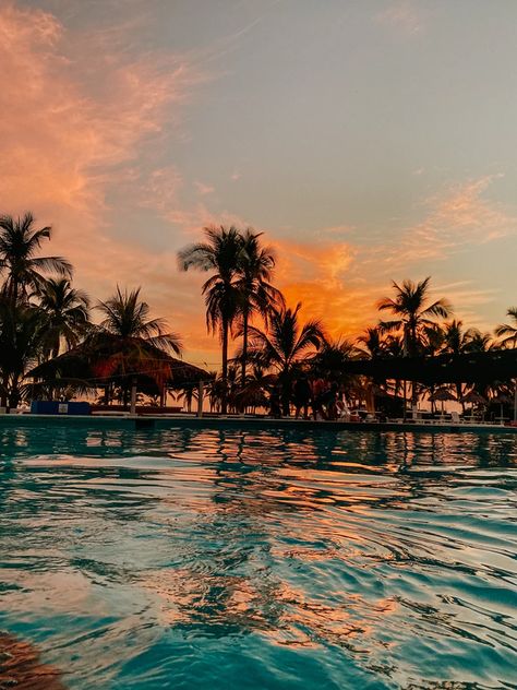 palm trees on body of water during sunset photo – Free Palm tree Image on Unsplash Costa Rica, Tumblr, Travel Store, Wedding Travel, Tropical Wallpaper, Summer Backgrounds, Summer Memories, New Backgrounds, Summer Wallpaper