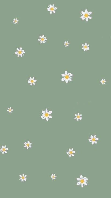 Trendy Wallpaper Iphone, ليلو وستيتش, Wallpaper Hijau, Mint Green Wallpaper, Hijau Mint, Sage Green Wallpaper, Iphone Wallpaper Green, Phone Wallpaper Boho, Daisy Wallpaper