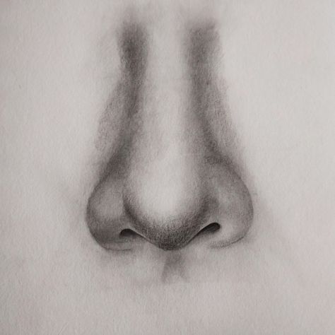 How to Draw a Nose: Step By Step Guide For Beginners - Hobby Lesson Nose For Drawing, Painting Noses Step By Step, Front Nose Reference, How To Draw Side Nose, How To Make Nose Drawing, How Do You Draw A Nose, Pencil Nose Drawing, Step By Step Portrait Drawing, How To Paint A Nose